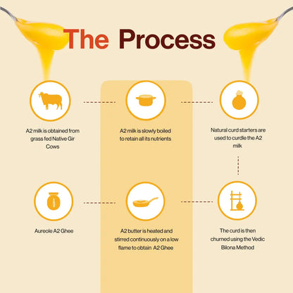 Aureole Farm A2 Cow Ghee (250 ml)| Cultured Gir Cow Ghee | Curd-Churned Bilona Ghee | Pure, Natural, and Healthy | Grass-Fed A2 Gir Cow Organic Ghee