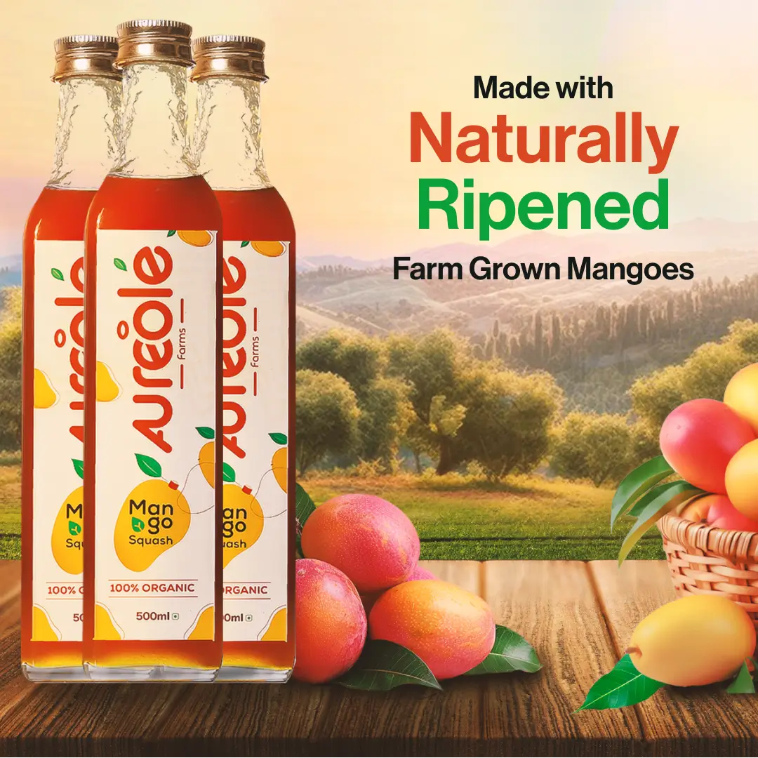 Aureole Farm 100% Raw Organic Mango Squash (500ml) | Pure Mango Fruit Syrup and Natural | Raw and Unprocessed | No Sugar Added, Just Real Mango |