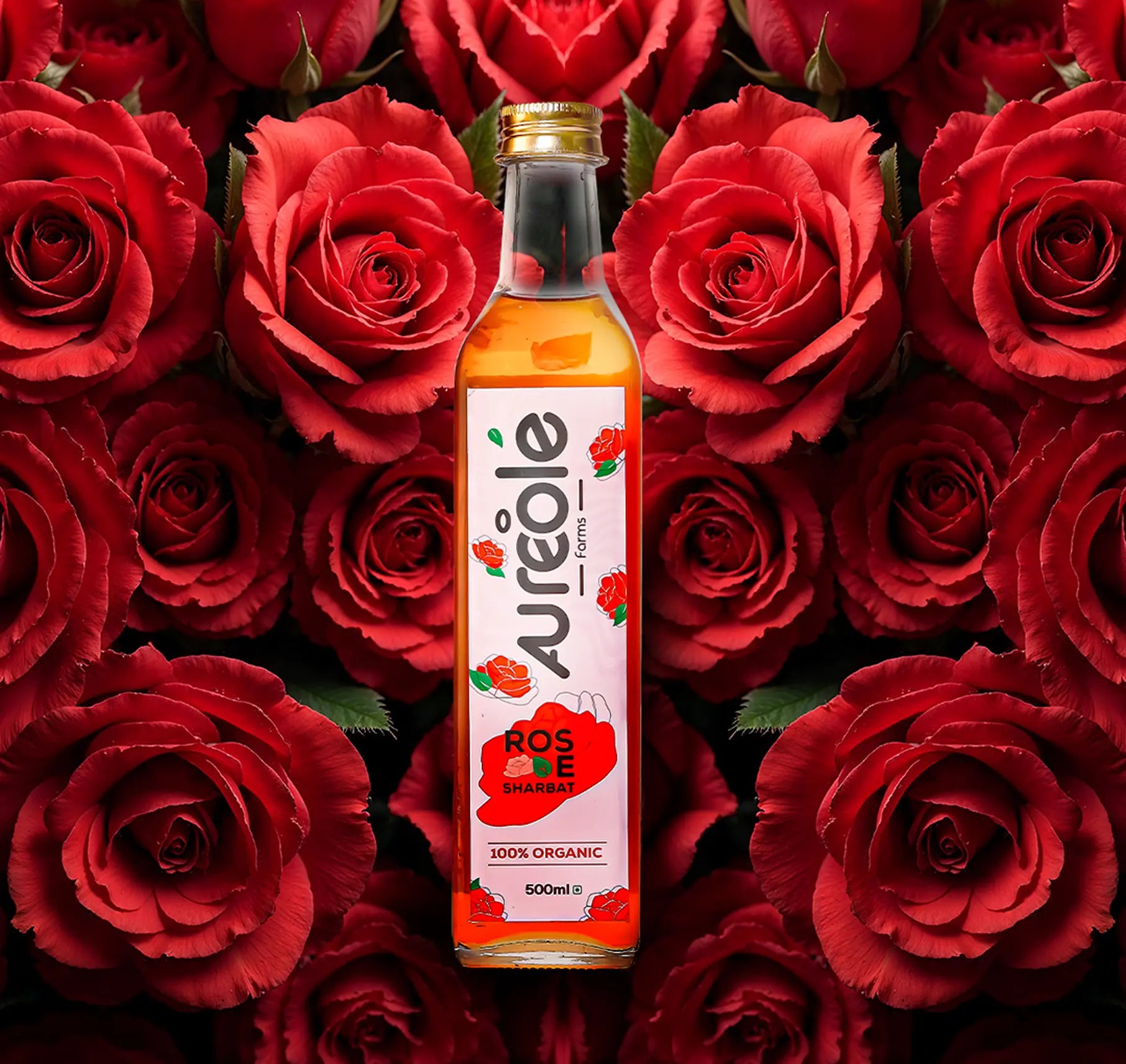 Aureole Farm 100% Organic Rose Sharbat (500ml) | Crafted from Real Rose Petals | Raw & Natural Rose Syrup