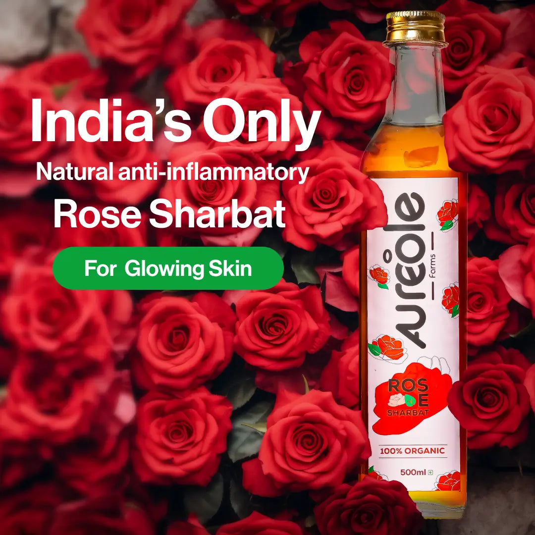 Aureole Farm 100% Organic Rose Sharbat (500ml) | Crafted from Real Rose Petals | Raw & Natural Rose Syrup